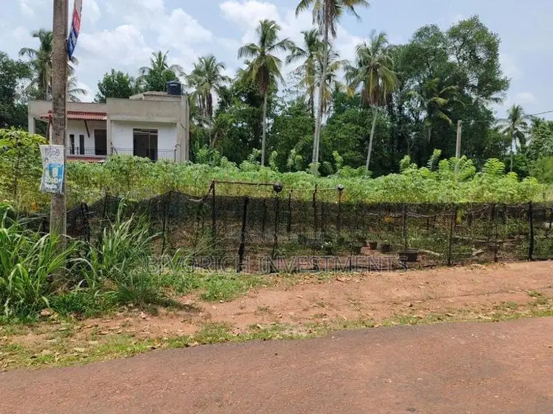 Land in Gamapaha Plot 01