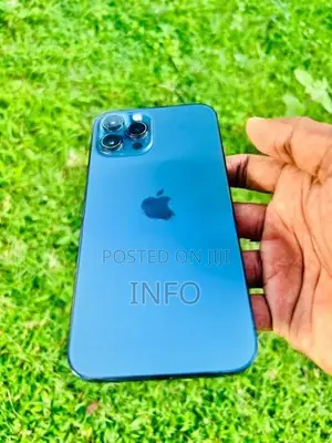 Apple iPhone 12 Pro Max (Used)