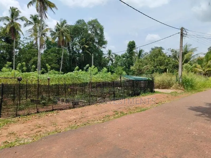 Land in Gamapaha Plot 01