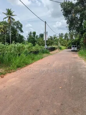 Land in Gamapaha Plot 01