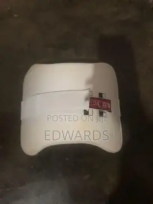 Cricket Items