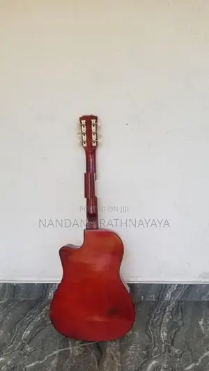 Brand New Guitar