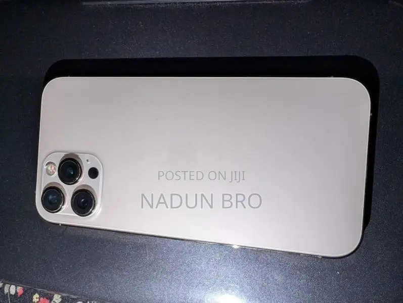 Apple iPhone 12 Pro Max (Used)