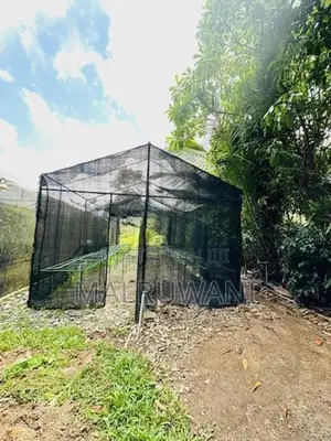 Orchid Net House