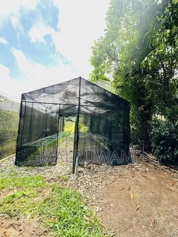 Orchid Net House