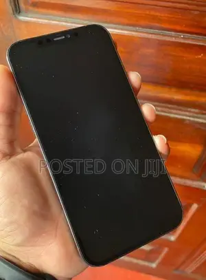 Apple iPhone 12 Pro Max 256GB (Used)