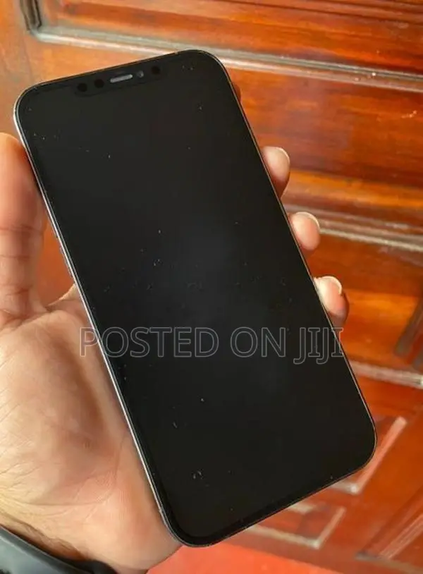 Apple iPhone 12 Pro Max 256GB (Used)
