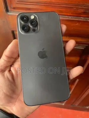 Apple iPhone 12 Pro Max 256GB (Used)
