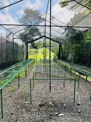Orchid Net House