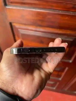 Apple iPhone 12 Pro Max 256GB (Used)