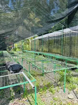 Orchid Net House