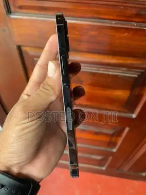 Apple iPhone 12 Pro Max 256GB (Used)