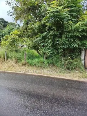 Land in Kadawatha Imbulgoda Plot 10