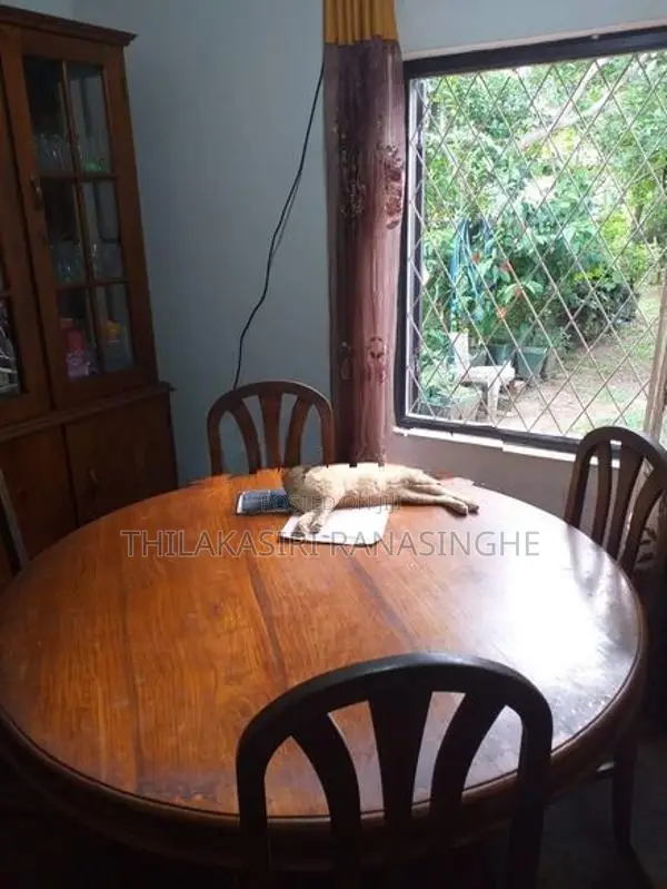 Solid Teak Wood Dining Table with 4 Chairs