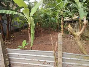Land in Kadawatha City Plot 04