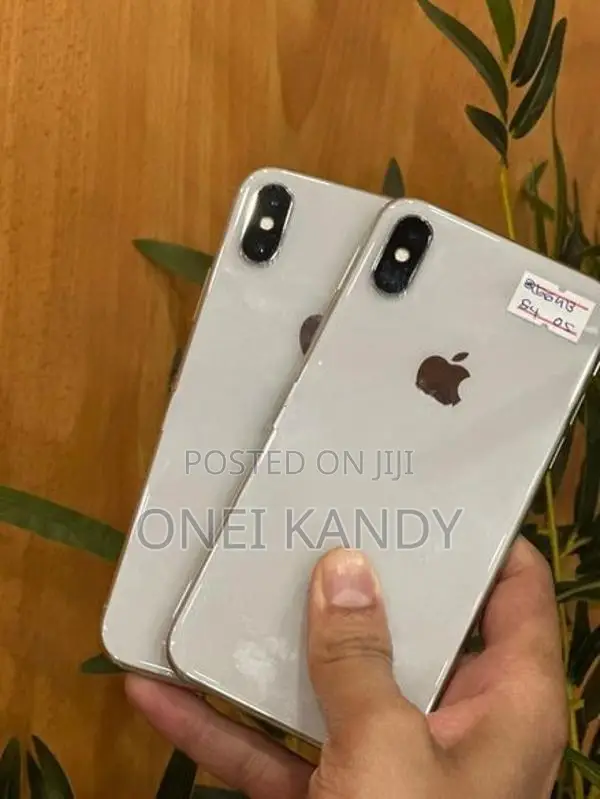 Apple iPhone X 256GB (Used)