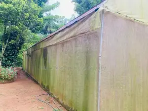 Poly Tunnel