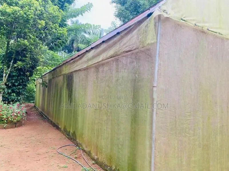Poly Tunnel
