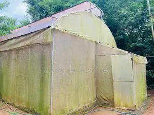 Poly Tunnel