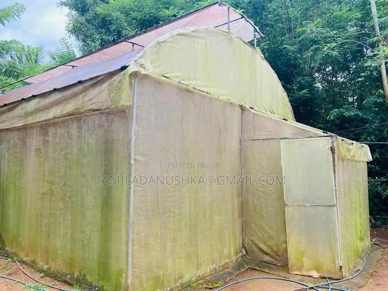 Poly Tunnel