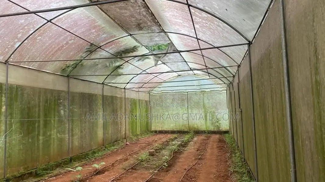 Poly Tunnel