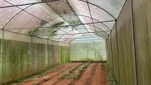 Poly Tunnel