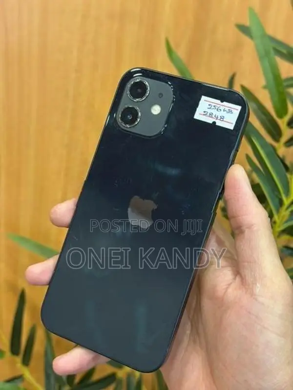 Apple iPhone 12 256GB (Used)