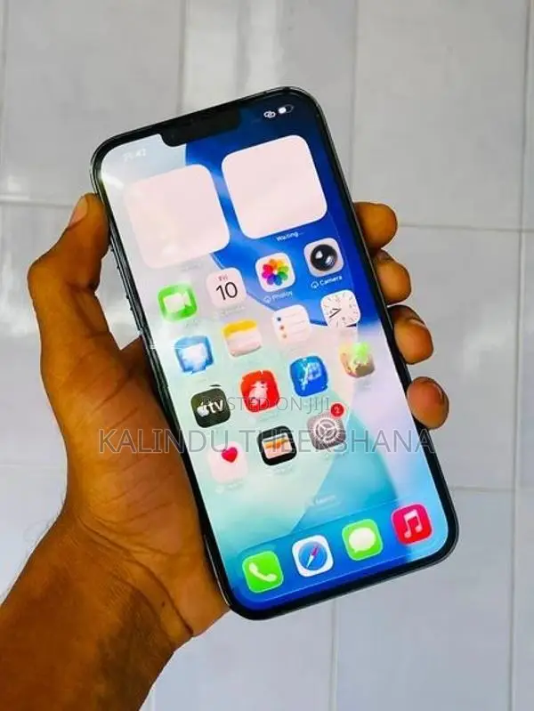 Apple iPhone 13 Pro Max 128Gb (Used)
