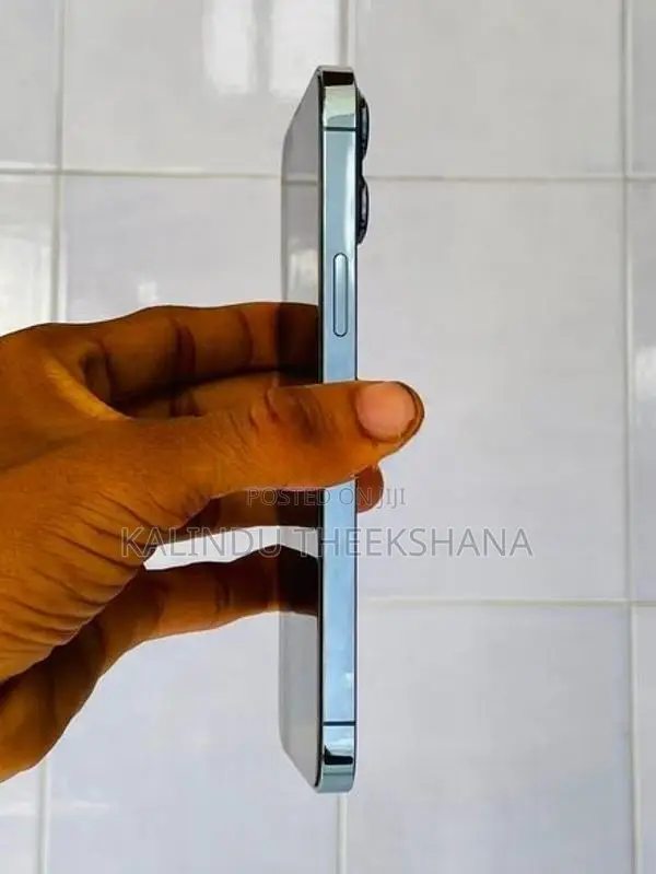 Apple iPhone 13 Pro Max 128Gb (Used)