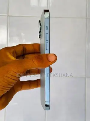 Apple iPhone 13 Pro Max 128Gb (Used)