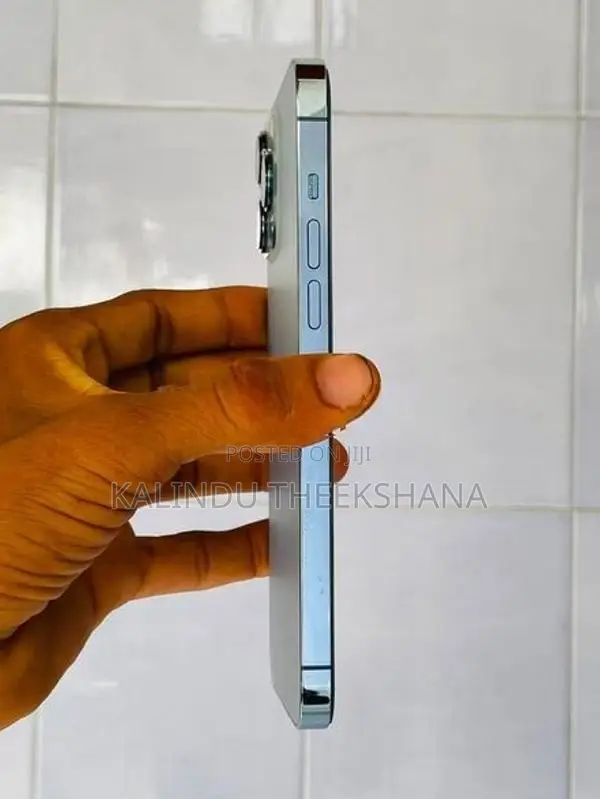 Apple iPhone 13 Pro Max 128Gb (Used)