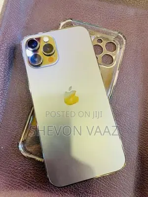 Apple iPhone 12 Pro Max 256GB (Used)