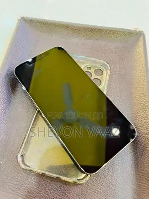 Apple iPhone 12 Pro Max 256GB (Used)
