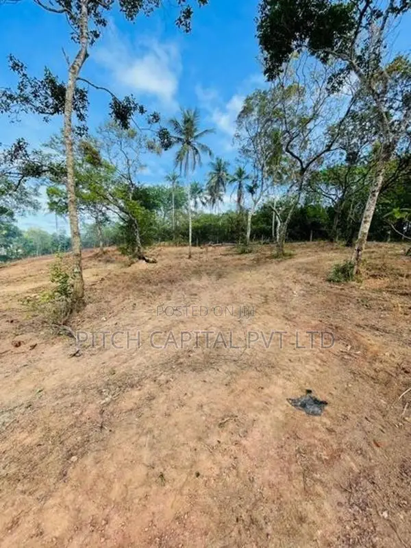 Valuable Land for Sale Dikwella