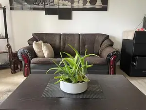 Used Damro Sofa Set 3+1+1