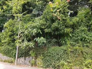 Residential Land Kalapaluwawa