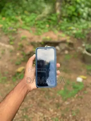 Apple iPhone 11 64gb (Used)