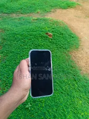 Apple iPhone 13 (Used)