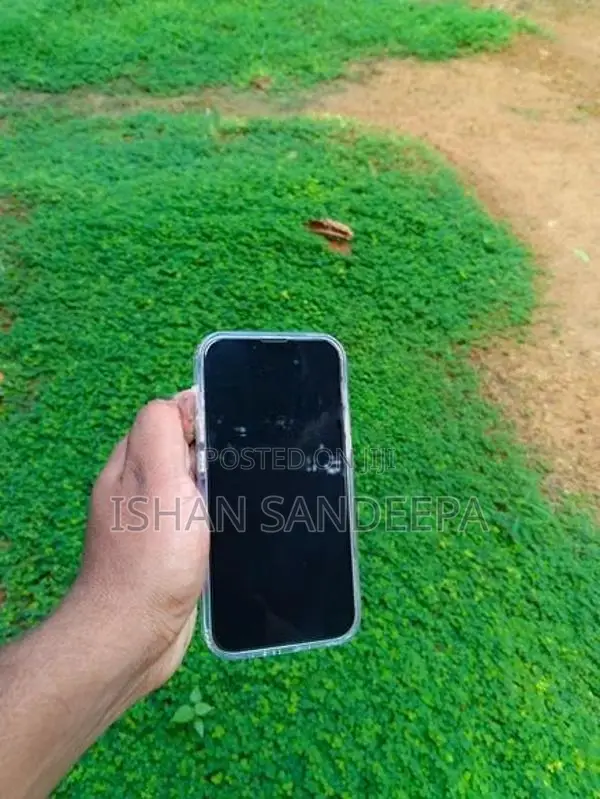 Apple iPhone 13 (Used)