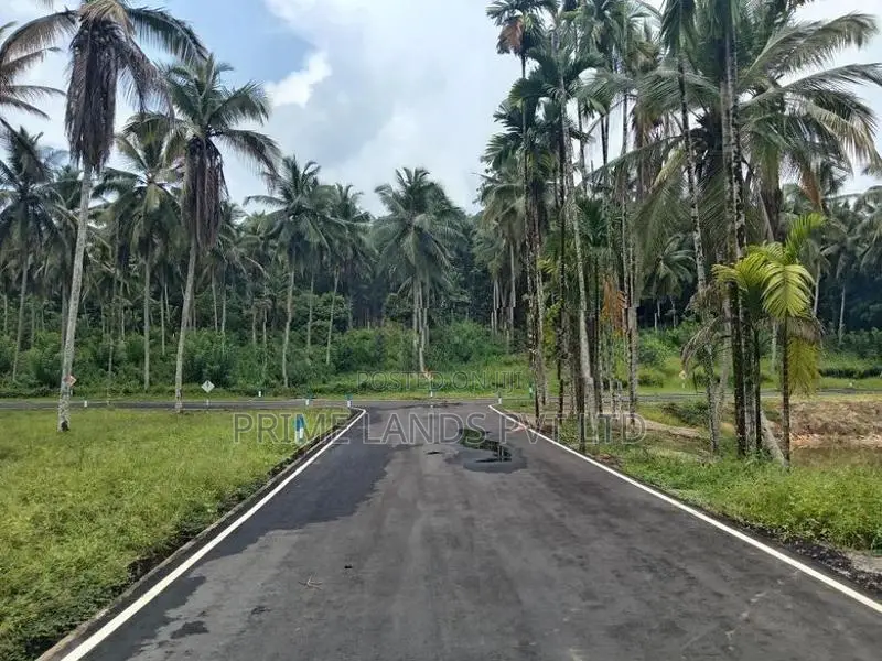 Coconut Land for Sale in Thalagala