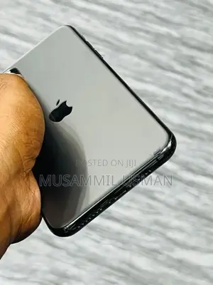 Apple iPhone 11 Pro Max 256 GB (Used)