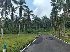 Coconut Land for Sale in Thalagala