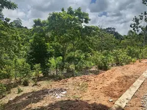 Residential Land for Sale in Ambalangoda