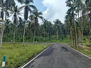 Coconut Land for Sale in Thalagala