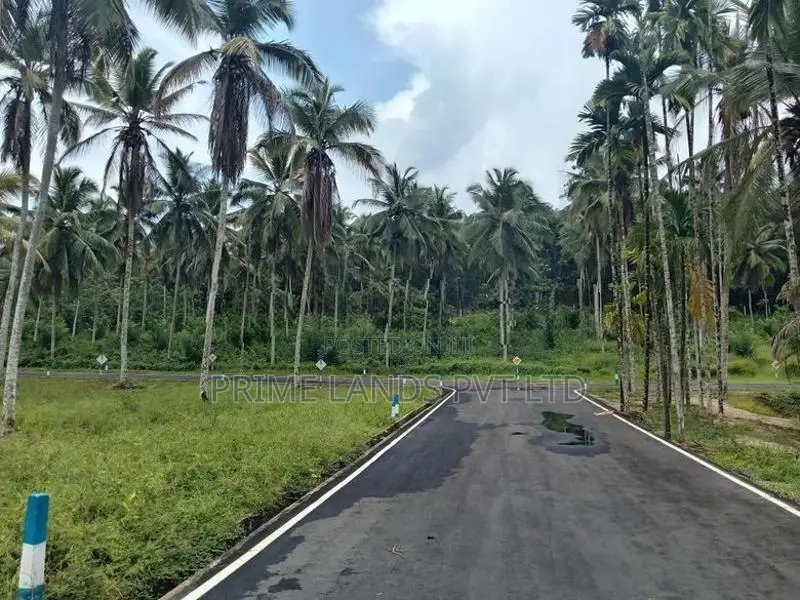 Coconut Land for Sale in Thalagala