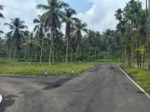 Coconut Land for Sale in Thalagala