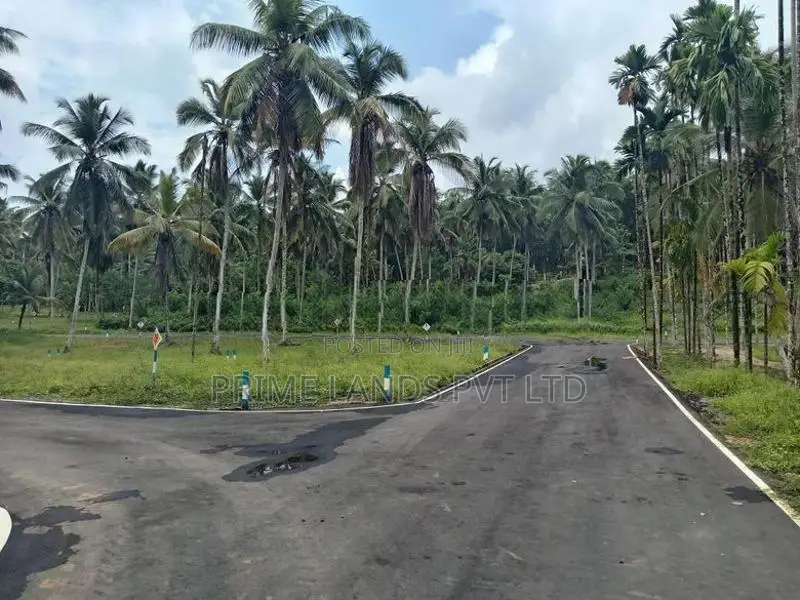 Coconut Land for Sale in Thalagala
