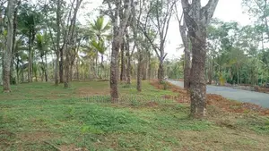 Lands Sale Near Ahangama