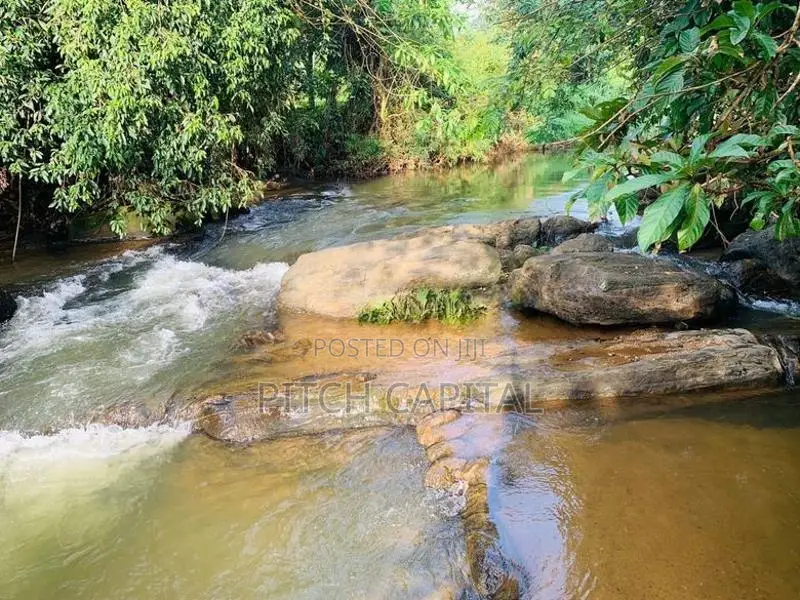 Hadapangoda මාවක් ඔයට මූනලා සුන්දර බිම් කොටස්