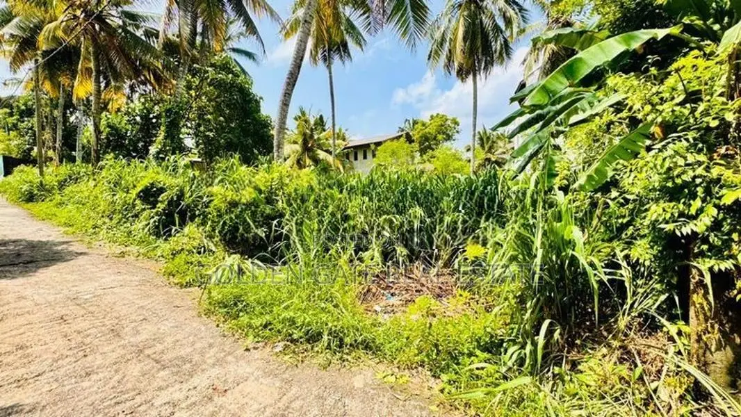 Kadawatha Ganemulla Road Perfect Land for Sale